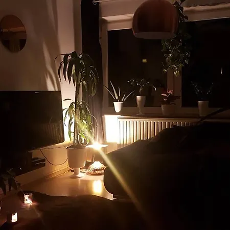 Kleiner Urwald *